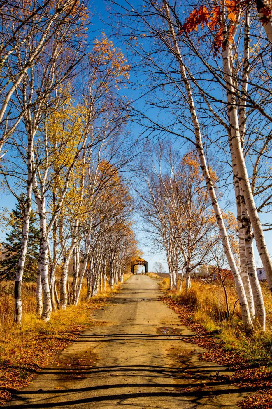 Sawmill Creek Bridge, Hopewell Hill, New Brunswick, Canada
