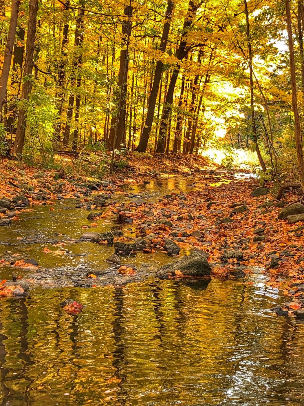 Sawmill Valley Trail, Canada