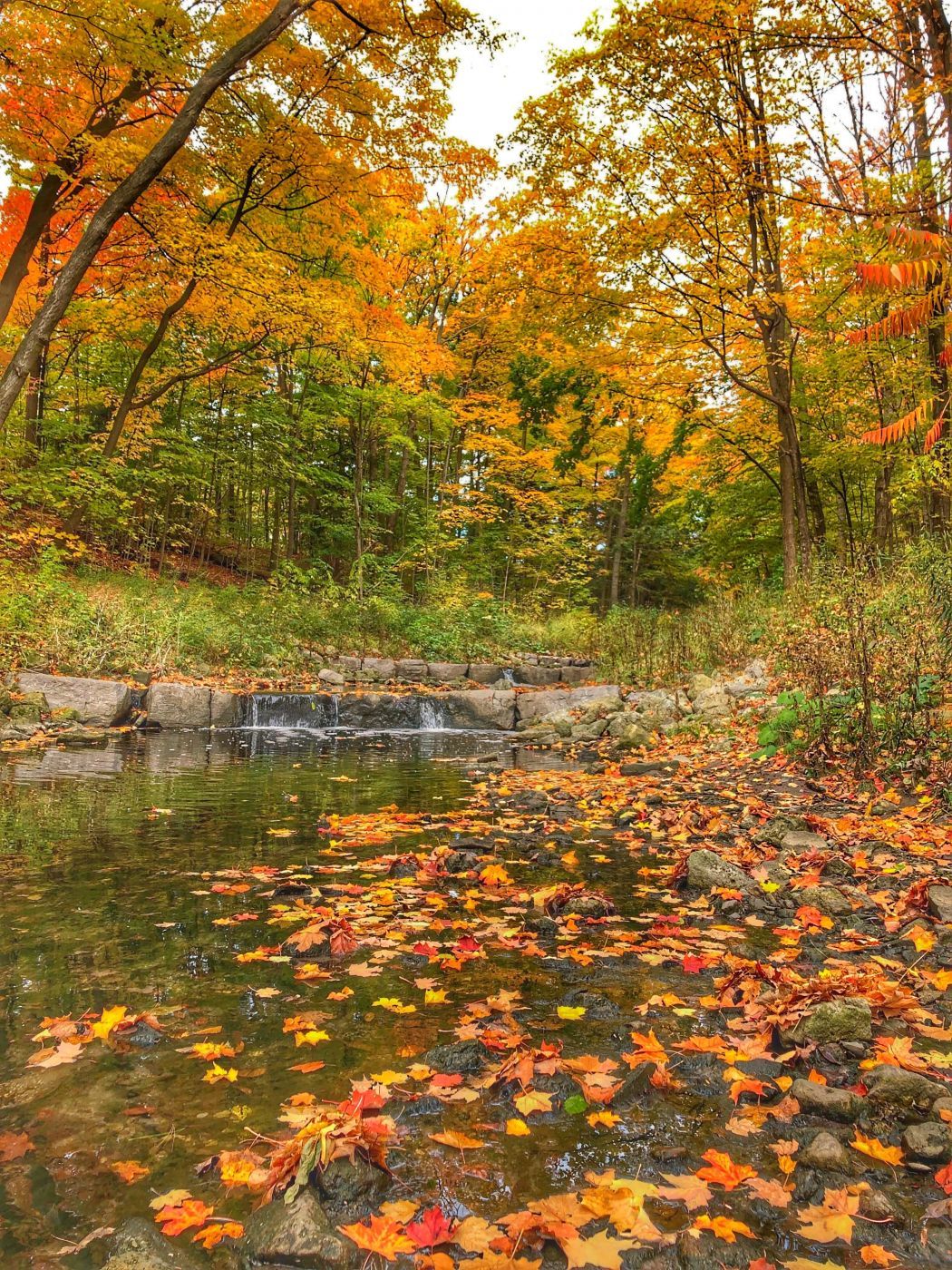 Sawmill Valley Trail, Canada