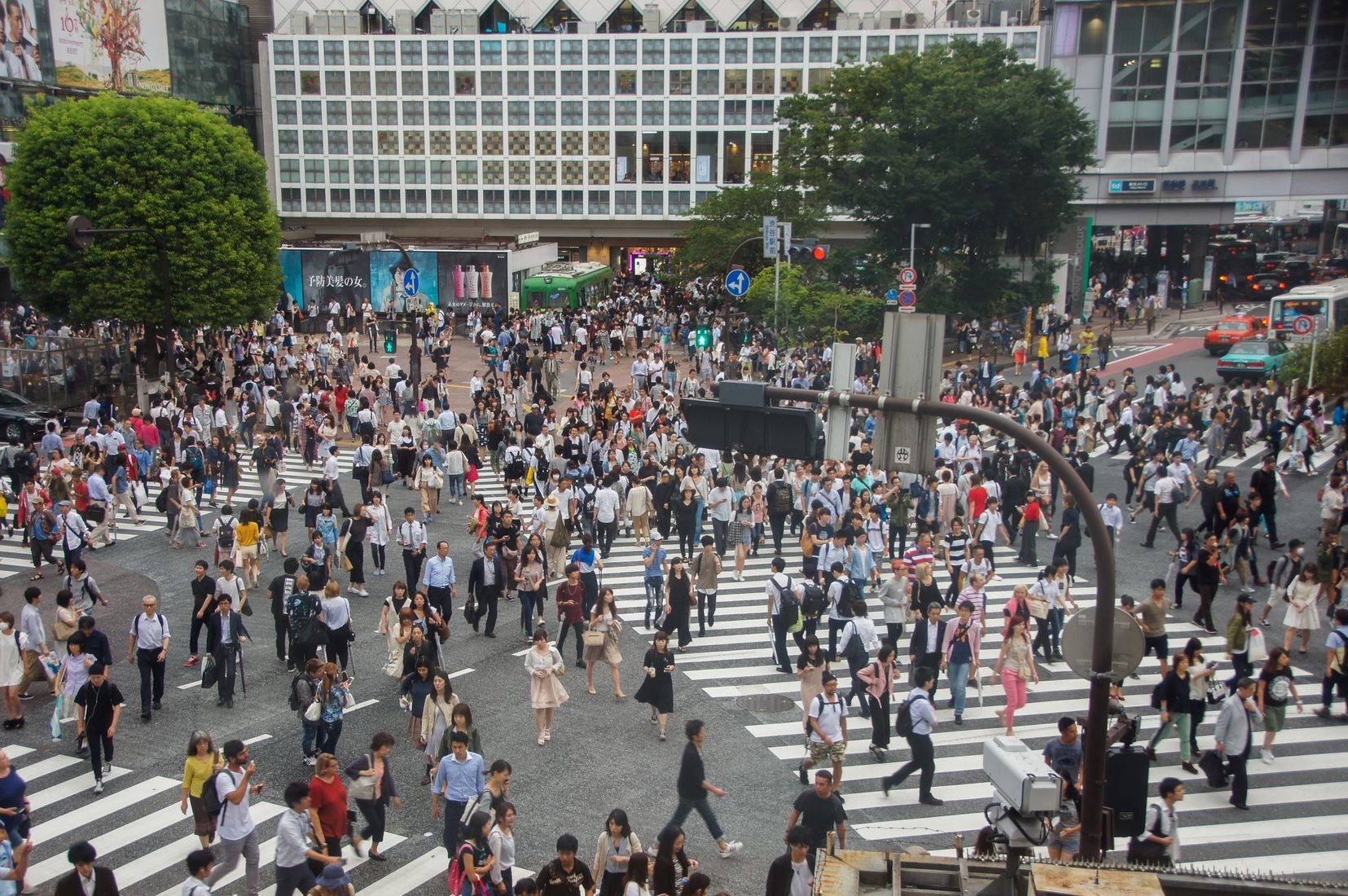 Shibuya Station Crossing, Japan 