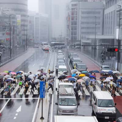 Shinjuku Station, Japan