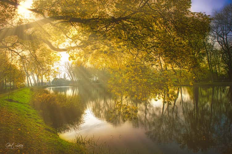 Sluis - Sint Donaes
