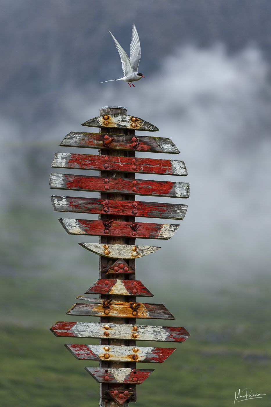 Small fishing harbor before Sudavik, Iceland