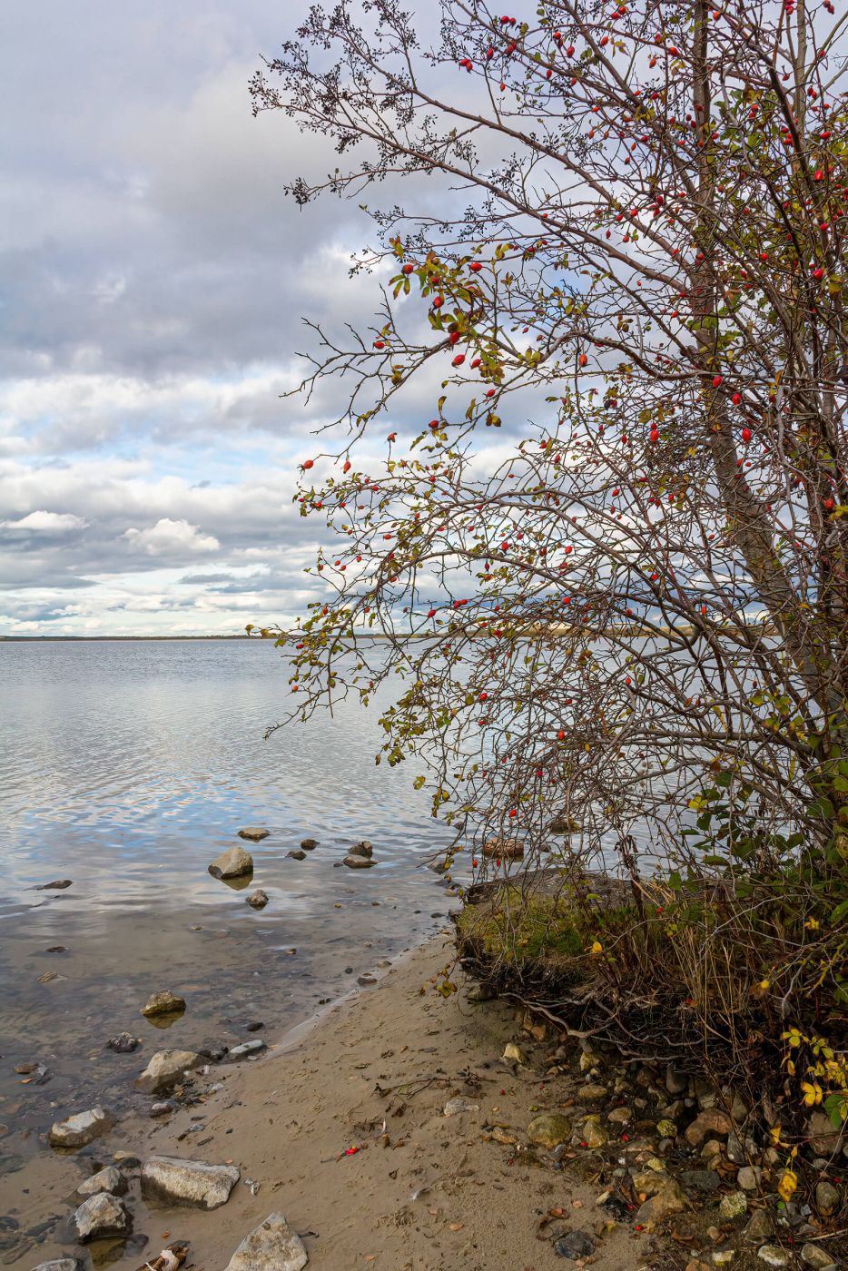 Steinhude, Badeinsel, Germany