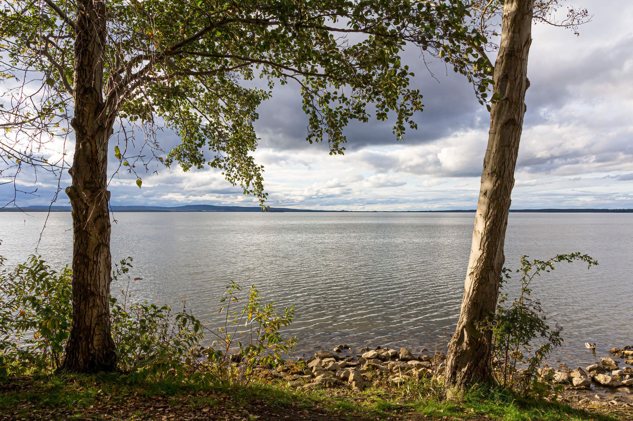 Steinhude, Badeinsel, Germany