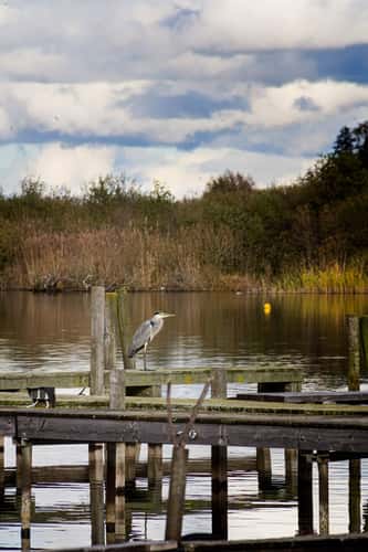 Steinhude Sailing Club