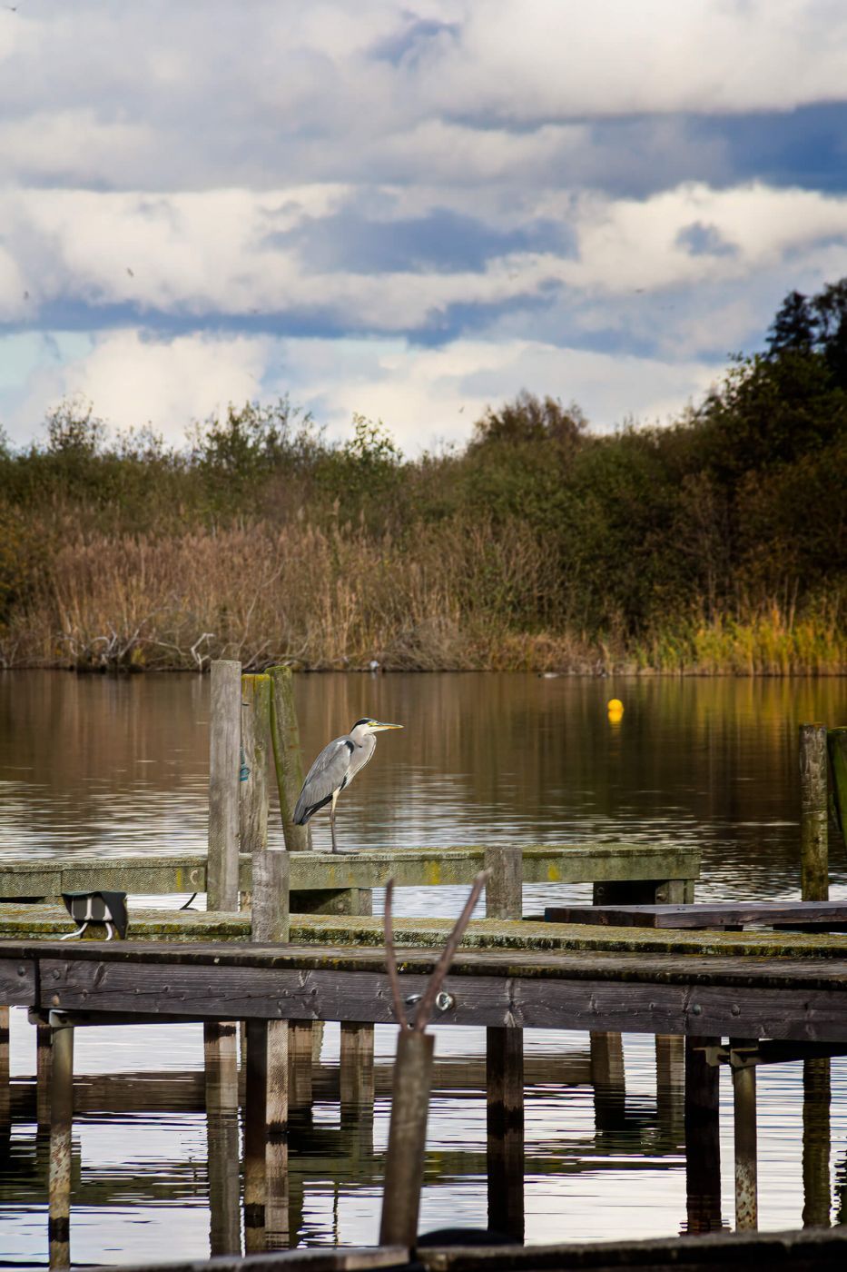 Steinhude Sailing Club, Germany