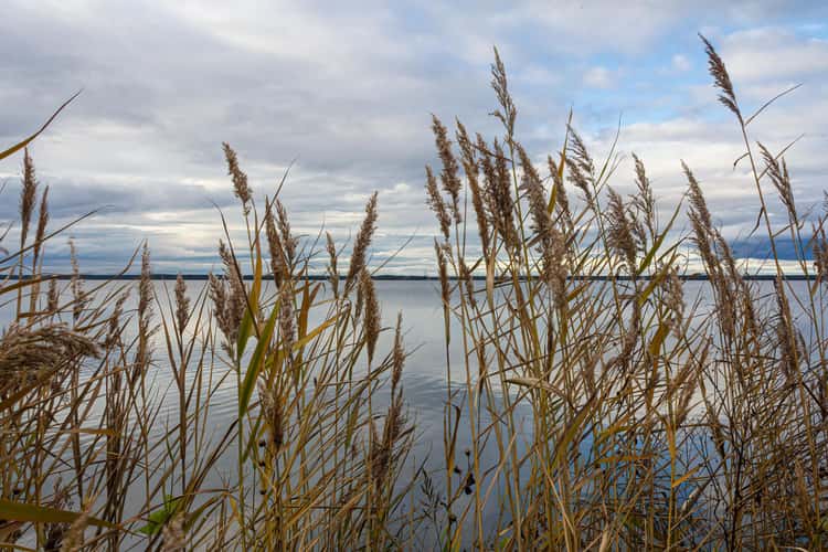 Steinhude Uferpromenade