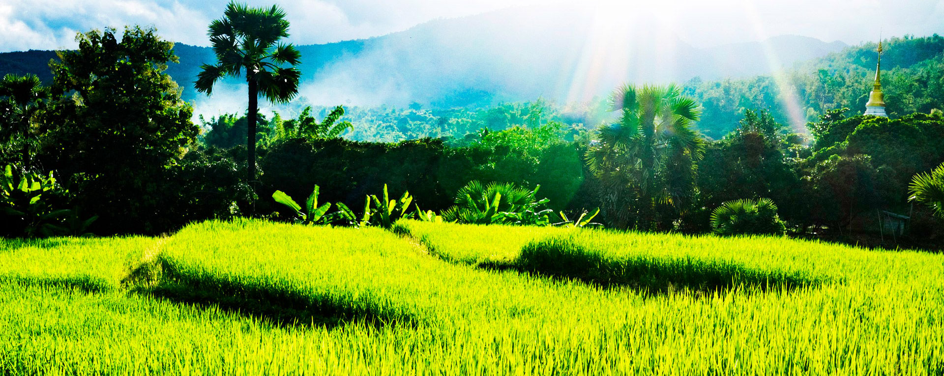 Suan Sook Homestay, Thailand