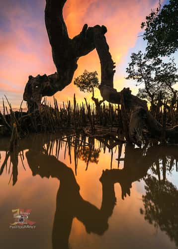 Sunrise at Pelabuhan Teluk Awang