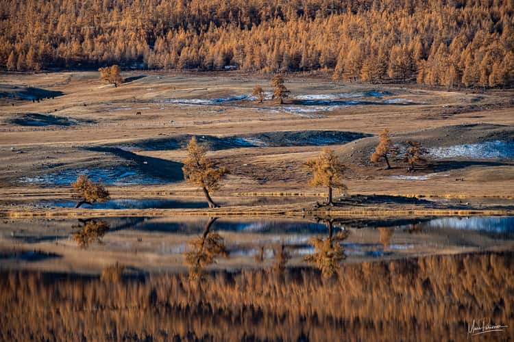 Sunrise fall colors in Altai Tavan Bogd