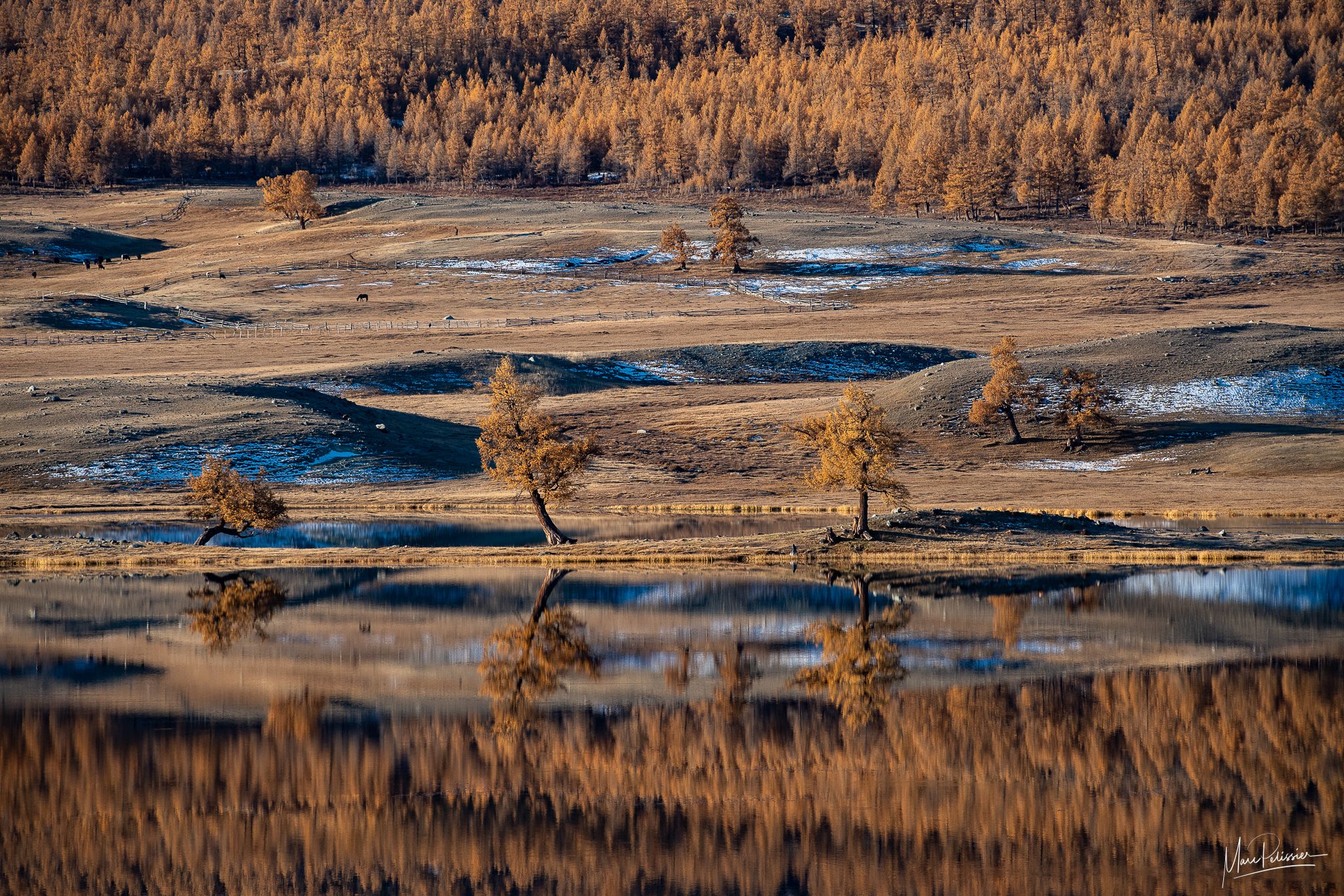 Sunrise fall colors in Altai Tavan Bogd, Mongolia