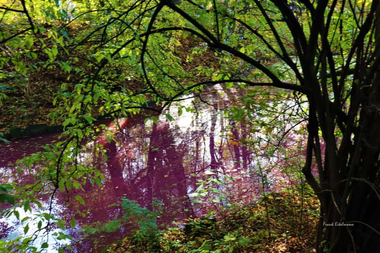 Teich Promenade Kleimannstraße