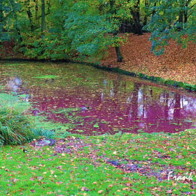 Teich Promenade Kleimannstraße, Germany