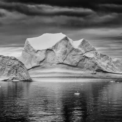 The ice crocodile, Greenland