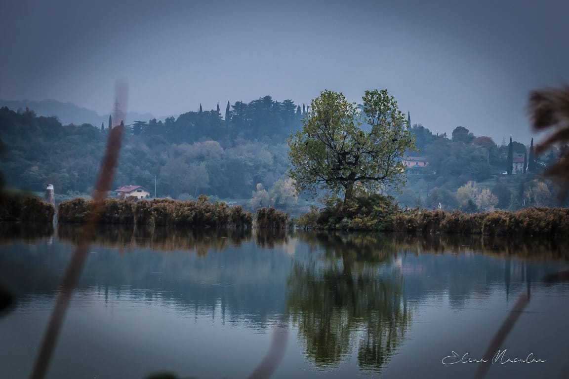 Torbiere del Sebino, BS,Italia, Italy