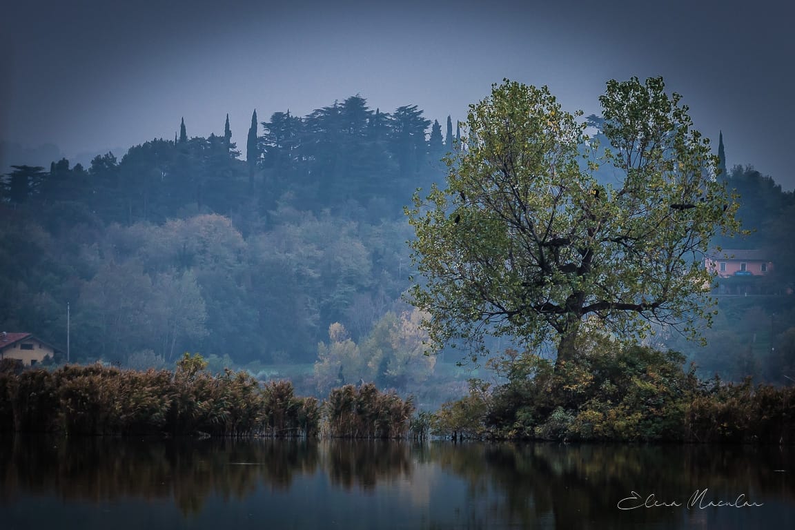 Torbiere del Sebino, BS,Italia, Italy