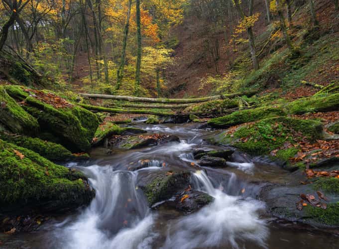 Traumschleife Ehrbachklamm im Hunsrück