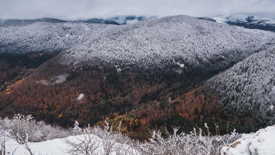 Two seasons
