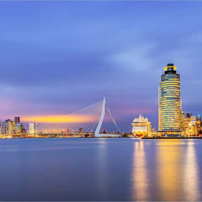 View on Erasmus bridge, Netherlands