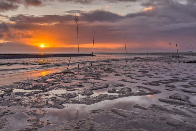 Wadden Sea seen from Hallig Oland