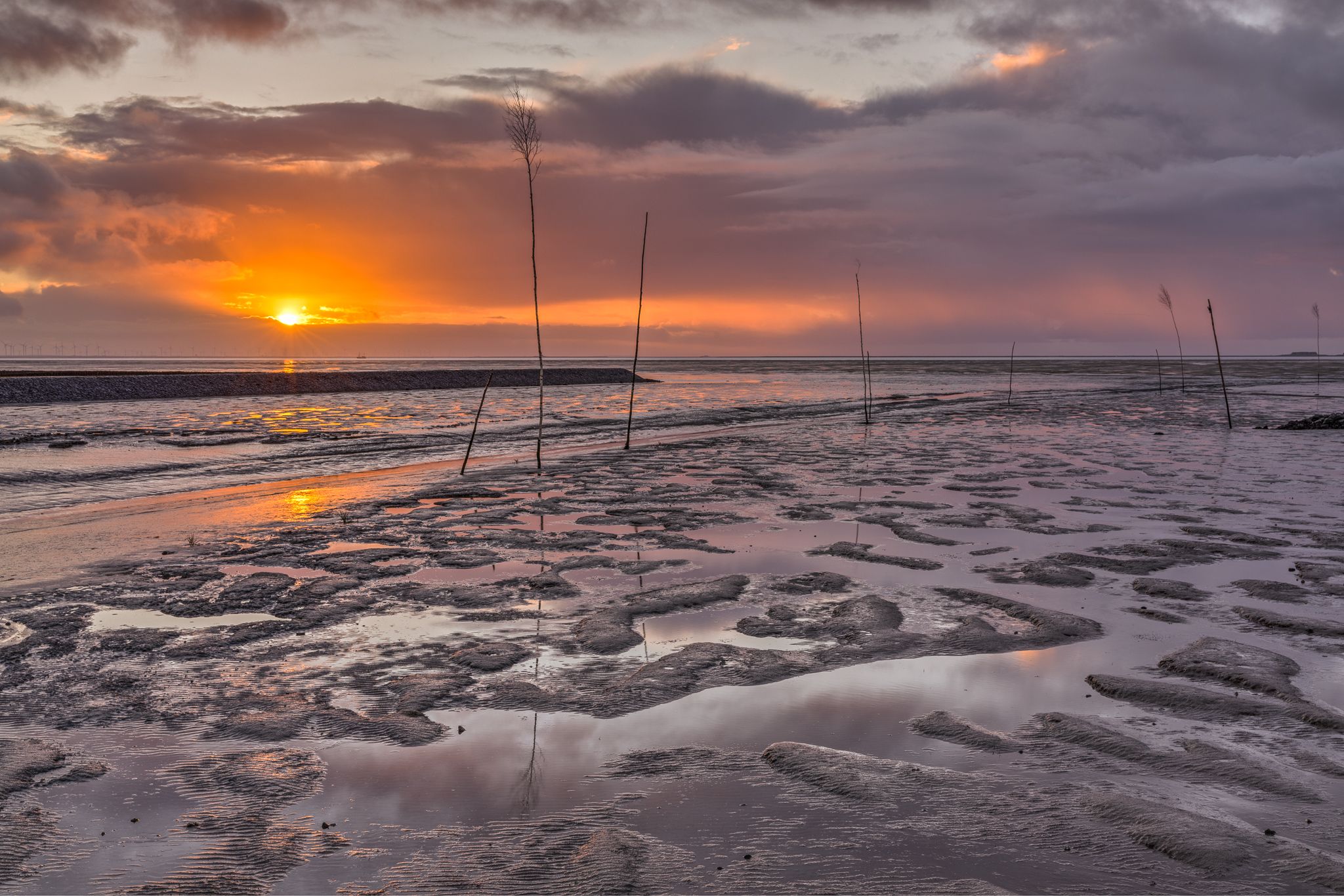 Wadden Sea seen from Hallig Oland, Germany