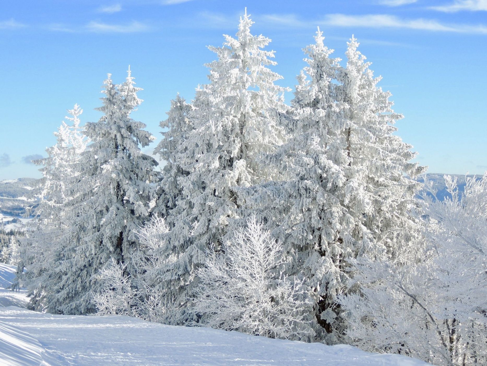 Winter Landscape, Germany