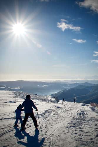Winter Landscape