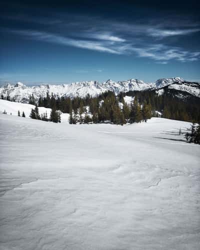 Winter View