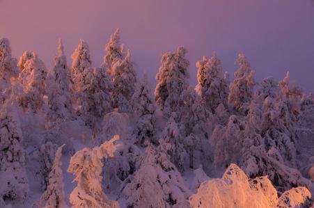 Winter wonderland, Kuusamo