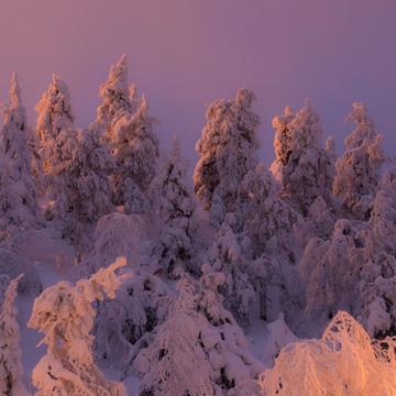 Winter wonderland, Kuusamo, Finland