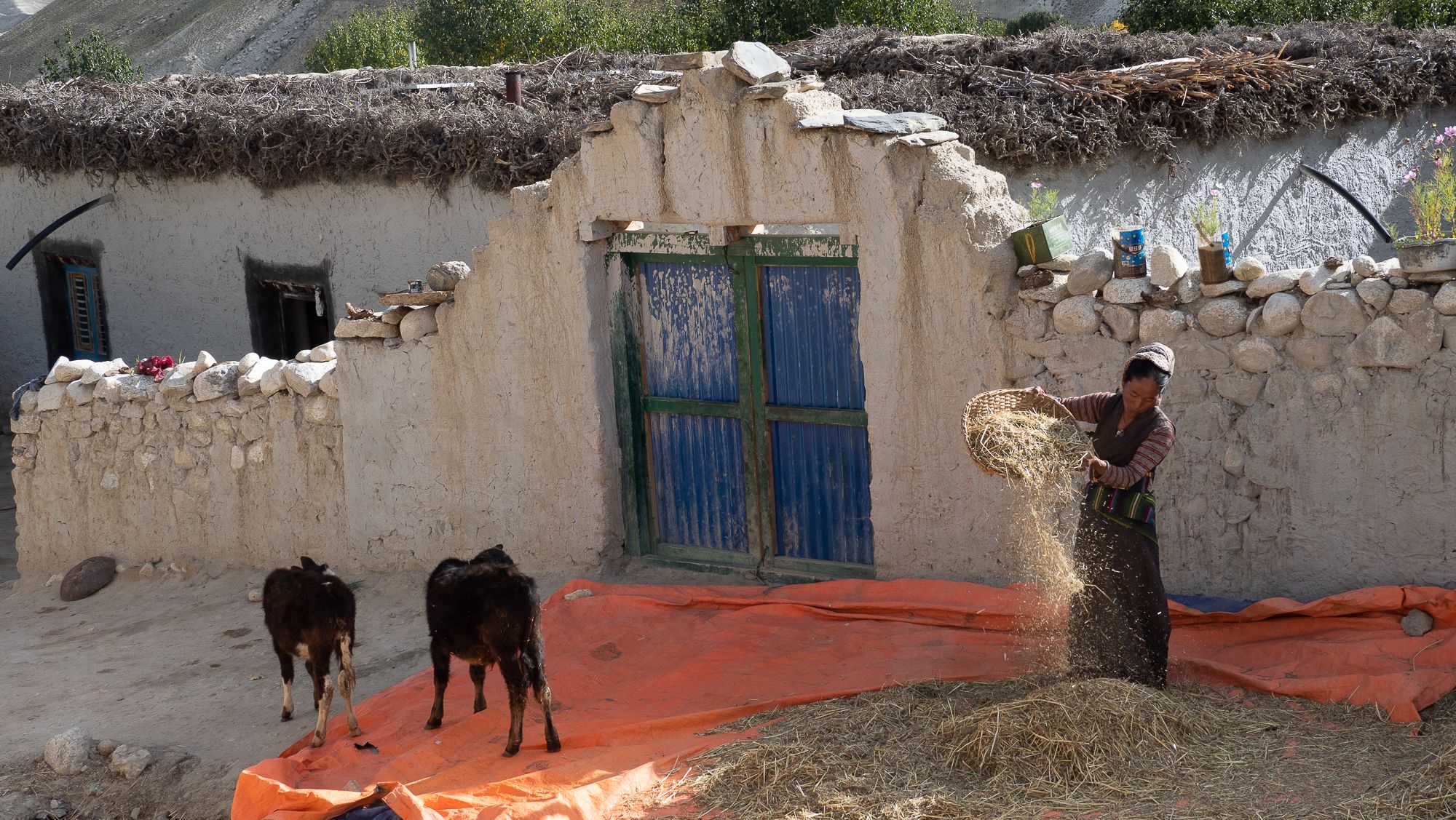 working at village, Nepal