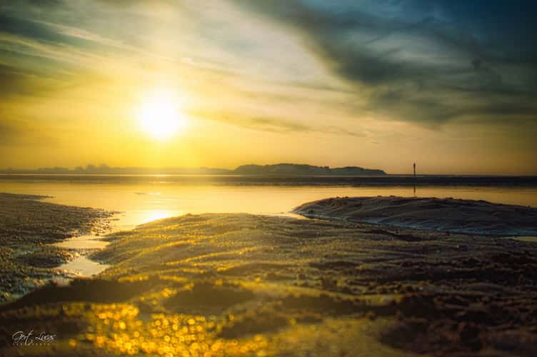 Zwin sunset