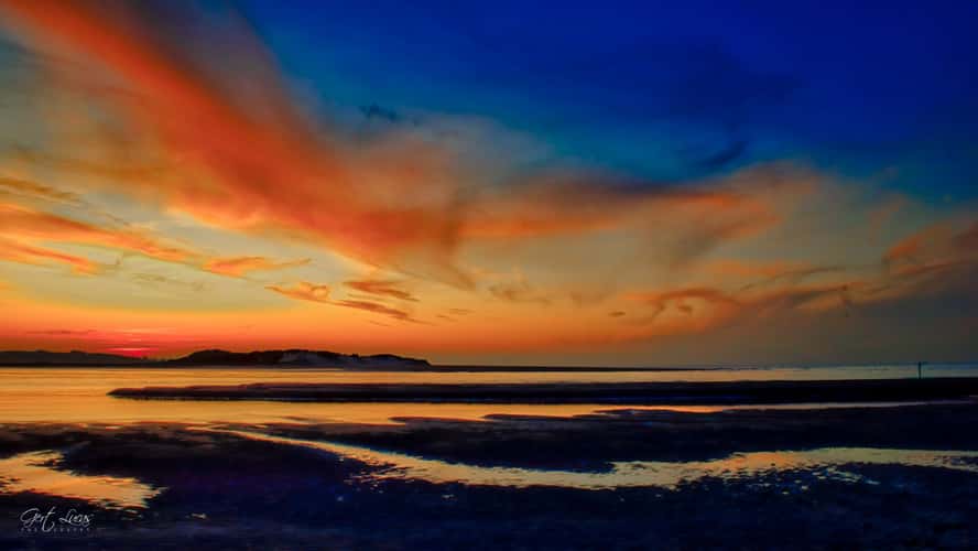 Zwin sunset