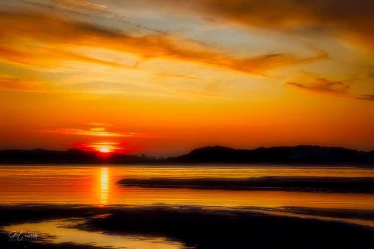 Zwin sunset