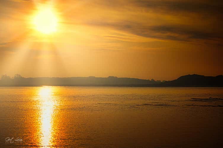 Zwin sunset