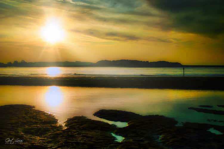 Zwin sunset