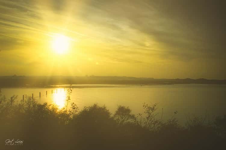 Zwin sunset