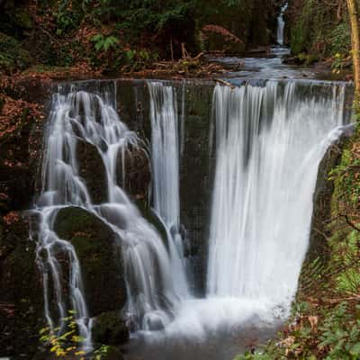 Alva Glen, United Kingdom