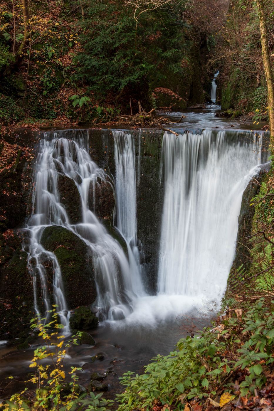 Alva Glen, United Kingdom