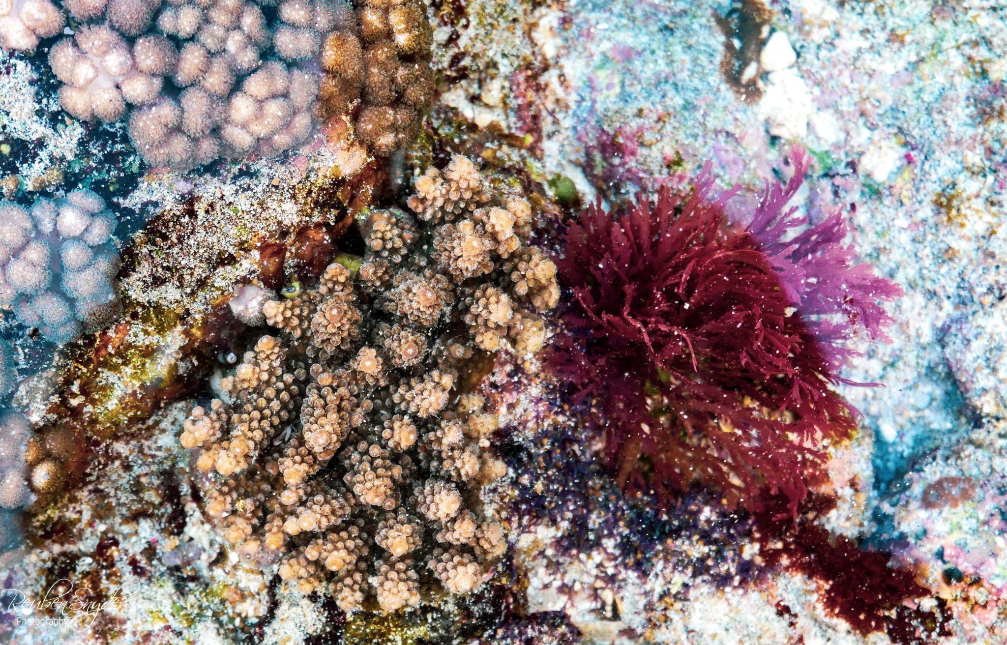 Atuh, Nusa Penida, Indonesia