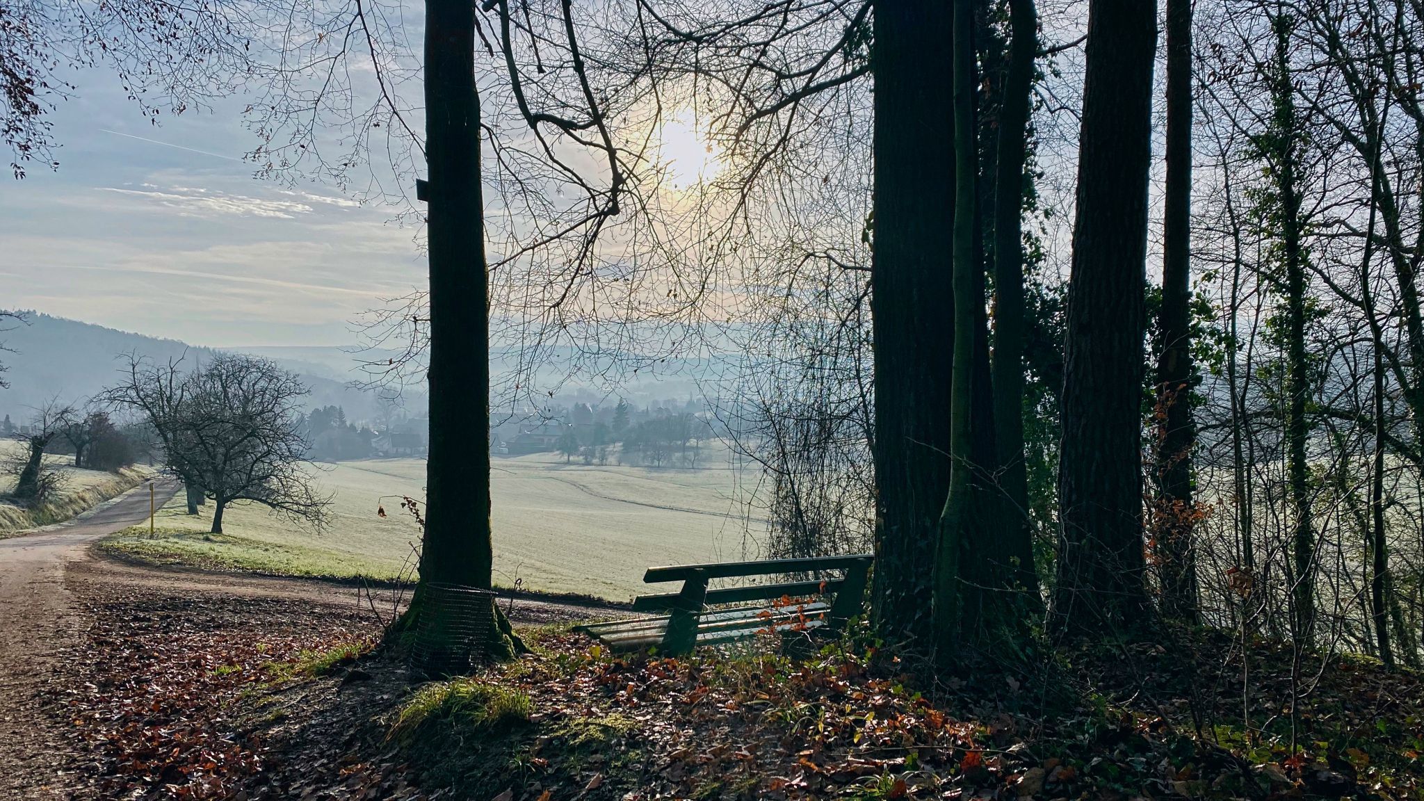 Bench with a view, Germany