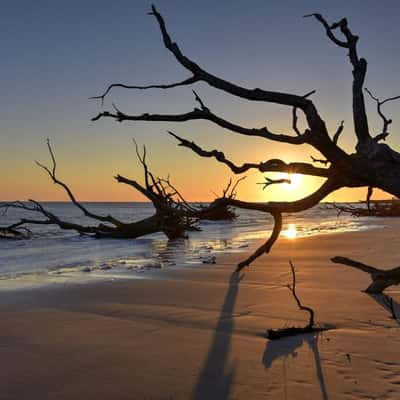 Big Talbot Island, USA