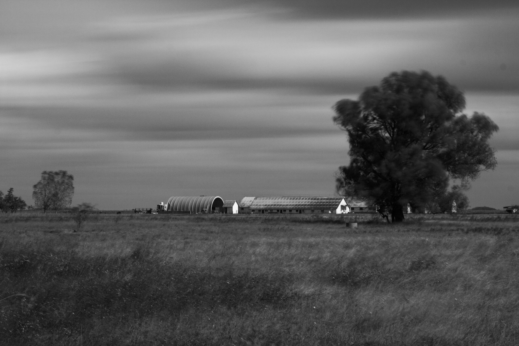 Black and white late summer, Hungary