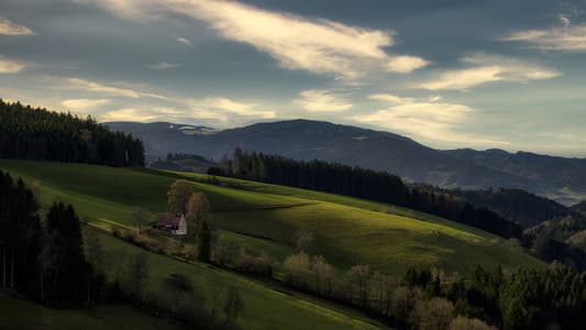 Black Forest Romantic