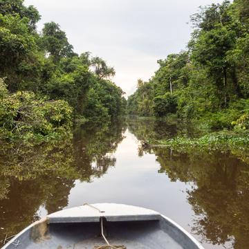 Boat trip along Kinabatangan River through rainforest, Malaysia