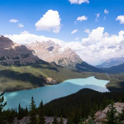 Bow Summit und Peyto Lake, Canada