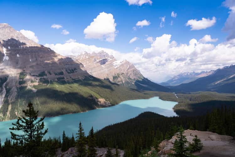 Bow Summit und Peyto Lake