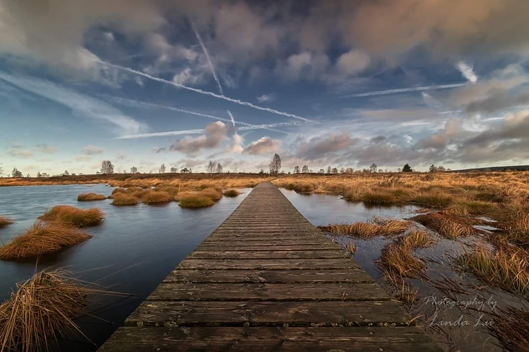 Brackvenn at the German/Belgium border, Belgium