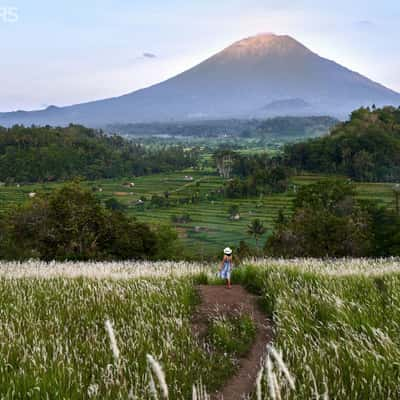 Bukit Cinta, Indonesia